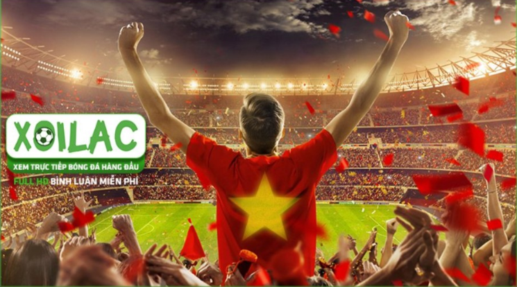 Thông tin về các giải đấu bóng đá có trên Xoilac TV